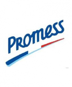 Promess